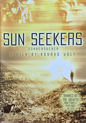 Picture of Sun Seekers