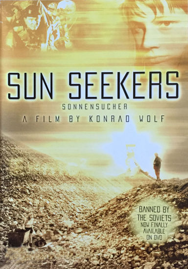 Picture of Sun Seekers